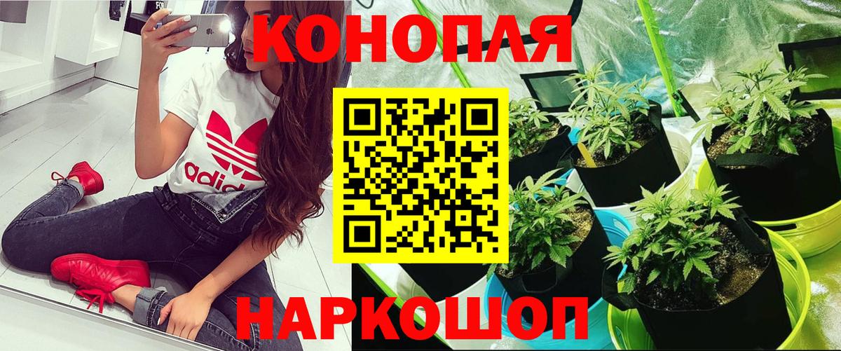 Канабис Amnesia  Каннабис гибрид  Саяногорск  Вход с VPN  Конопля семена  Марихуана конопля 